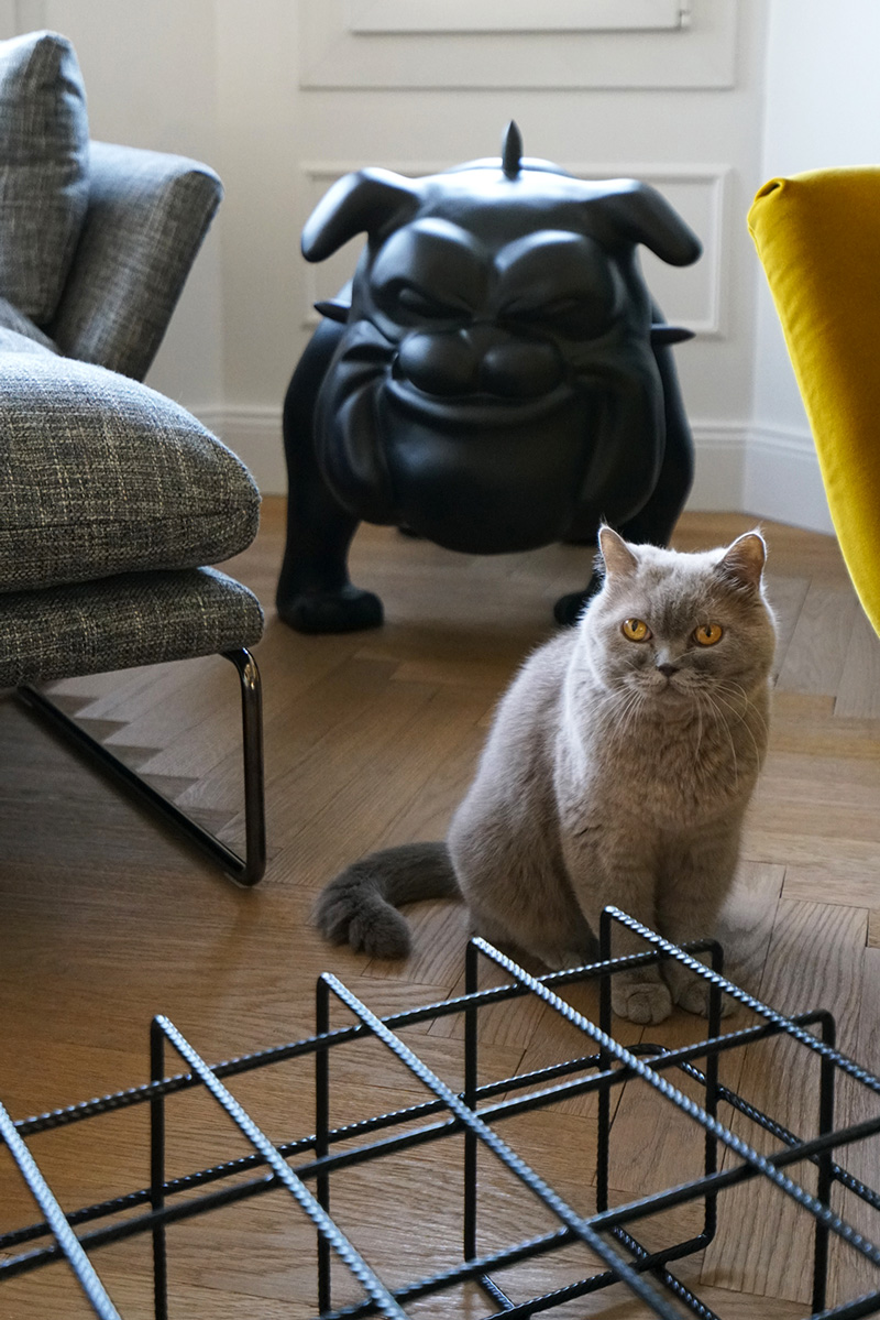 Photo du projet - Appartement Place des Romains Annecy